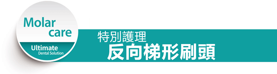 LUX360臼齒護理-反向刷頭